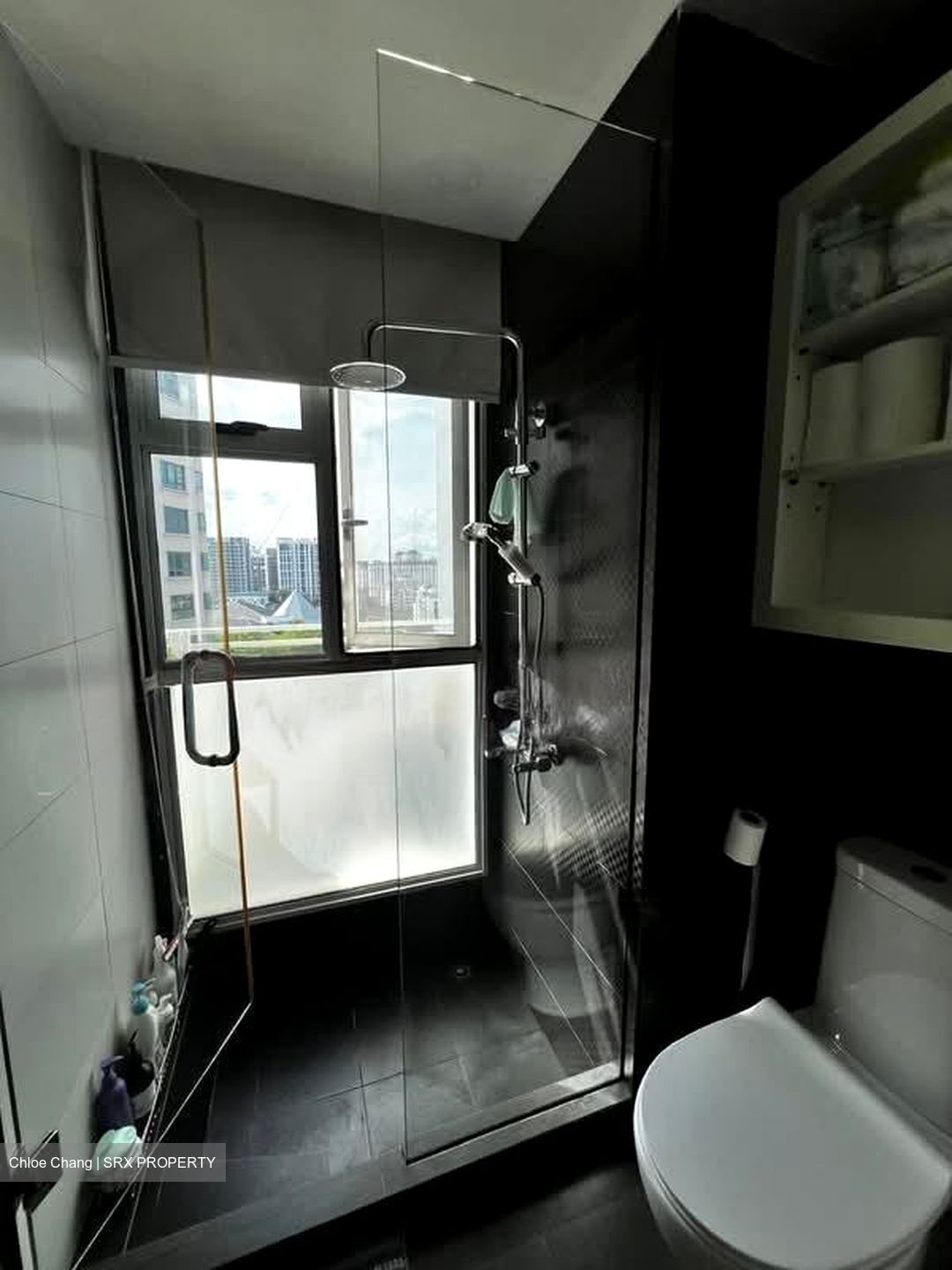 Haig 162 (D15), Apartment #559478481